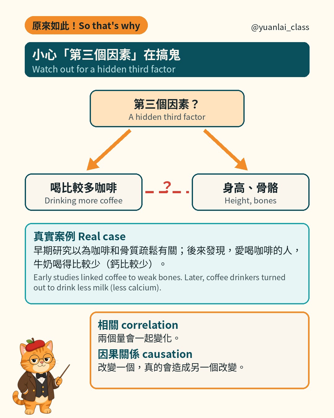 示意圖。第三個因素同時指向喝比較多咖啡和身高骨骼，兩者之間是打問號的虛線。下方是牛奶和鈣的真實案例。