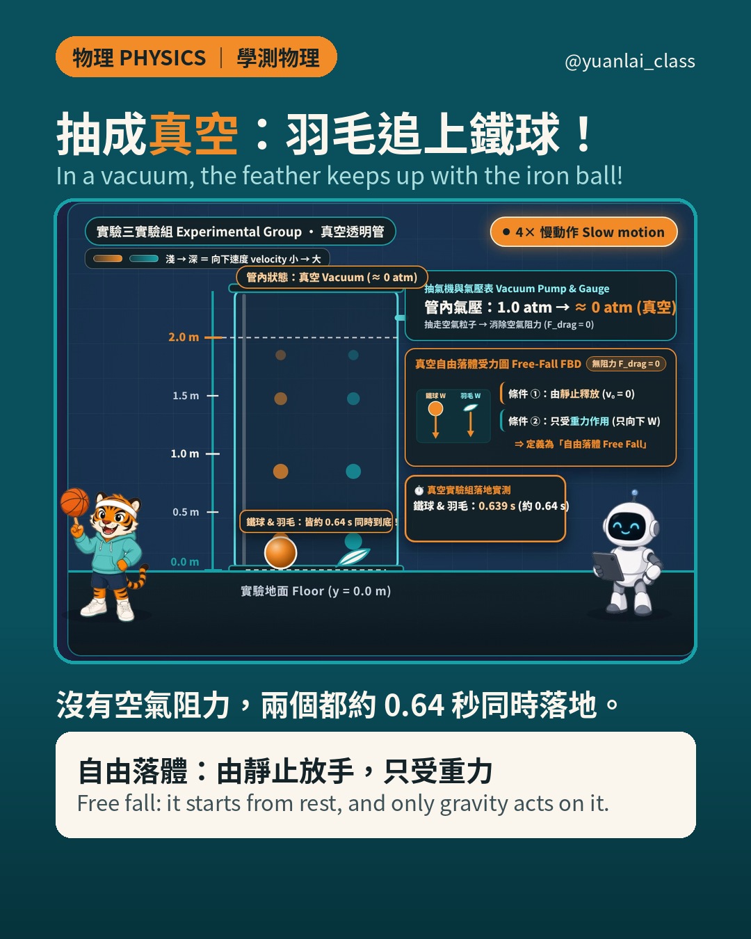 影片畫面：真空管裡羽毛和鐵球一起約 0.64 秒落地。定義框寫著自由落體：由靜止放手，只受重力。