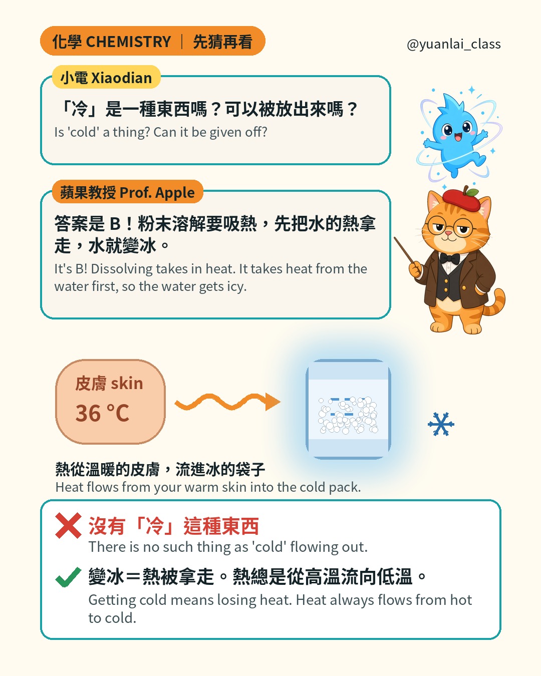 小電問冷是一種東西嗎？蘋果教授說答案是 B，粉末溶解要吸熱，先把水的熱拿走，水就變冰。圖：36 度的皮膚，熱流向冰敷袋。沒有冷這種東西，變冰是熱被拿走，熱總是從高溫流向低溫。