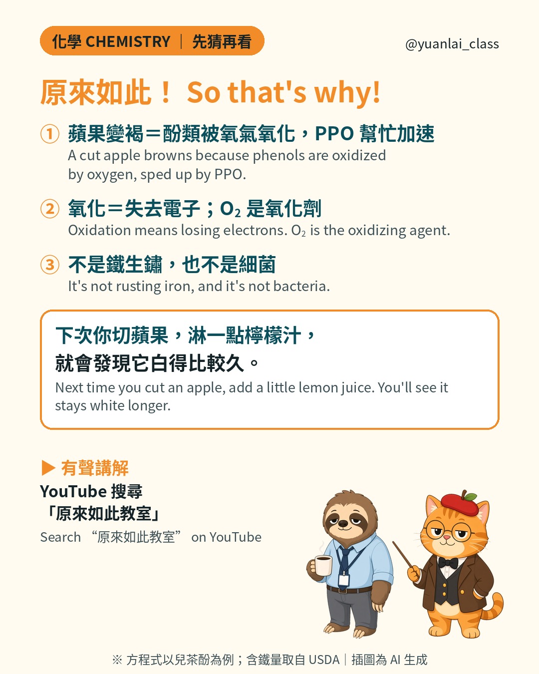 重點整理：蘋果變褐是酚類被氧化，PPO 幫忙；氧化是失去電子、氧氣是氧化劑；不是鐵生鏽也不是壞掉。下次你切蘋果，淋一點檸檬汁，就會發現它白得比較久。