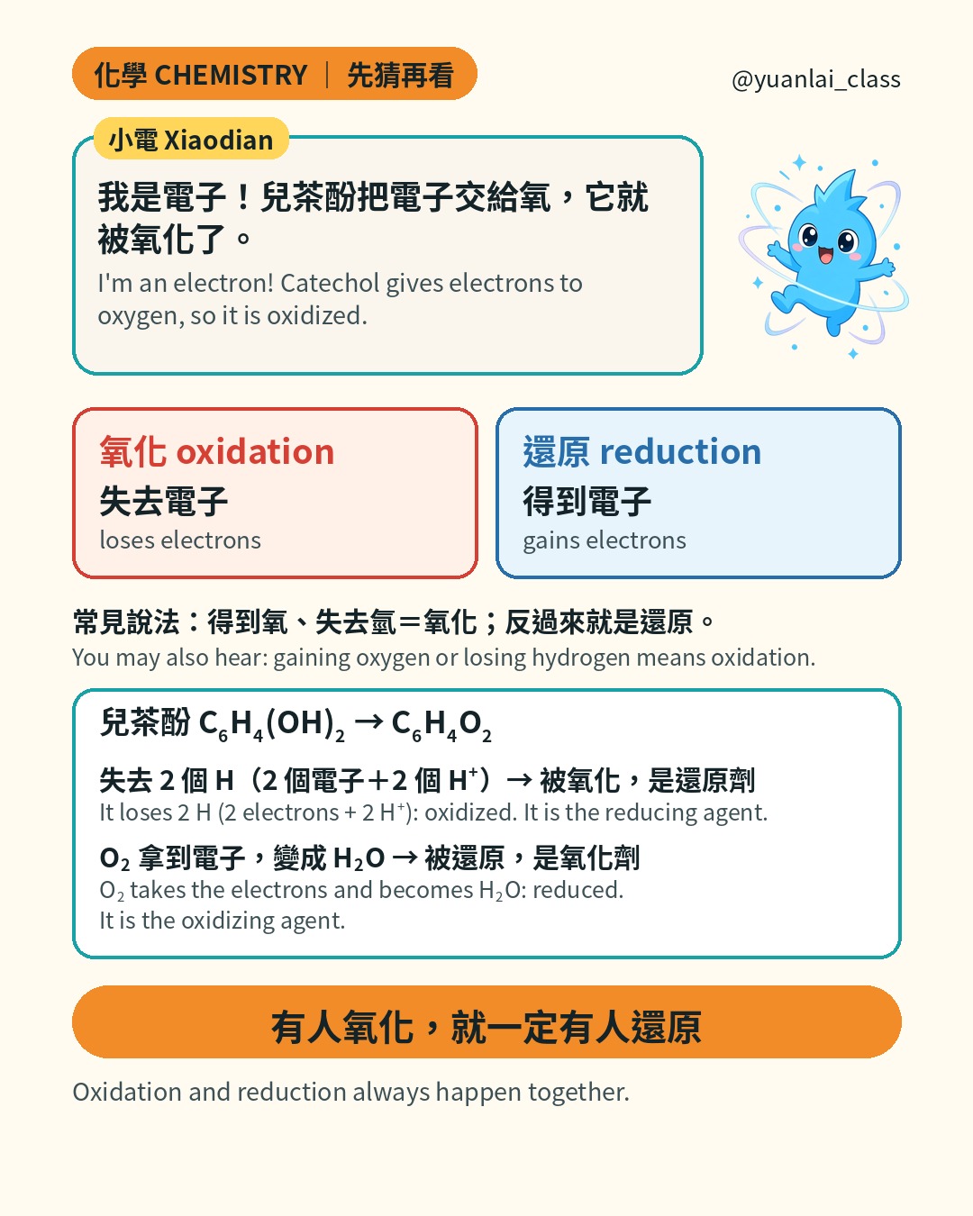 小電說：我是電子，兒茶酚把電子交給氧，它就被氧化了。氧化是失去電子，還原是得到電子。兒茶酚失去 2 個氫，是還原劑；氧氣是氧化劑。有人氧化，就一定有人還原。