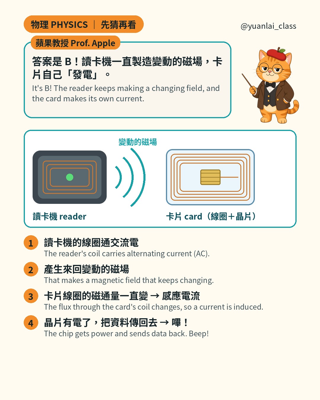 蘋果教授說答案是 B。圖：讀卡機發出變動的磁場，旁邊是有線圈和晶片的卡片。四個步驟：讀卡機線圈通交流電；產生來回變動的磁場；卡片線圈的磁通量一直變，產生感應電流；晶片有電了，把資料傳回去，嗶。